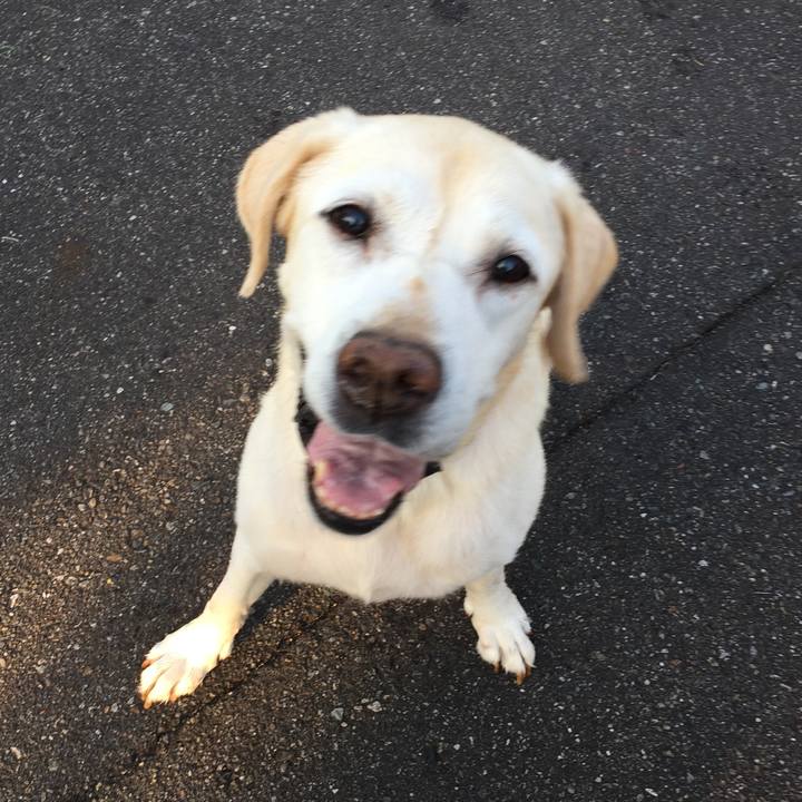 9618dcda 2c66 4538 ab59 0b581f50a6e2