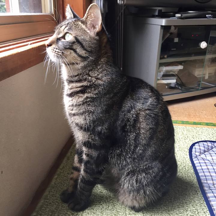 9618f70f 7e44 4d58 81b2 5abbdf897821