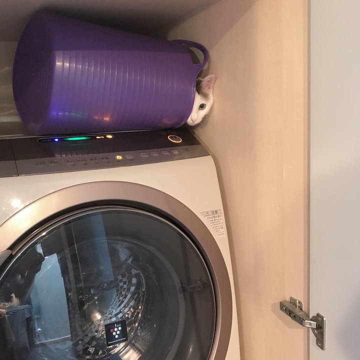 96196e64 a7f9 425d a7ba 53ff58120b52