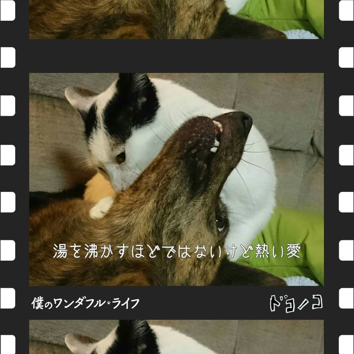 961a7e83 c4c1 4f42 8abb c3053b7cc508