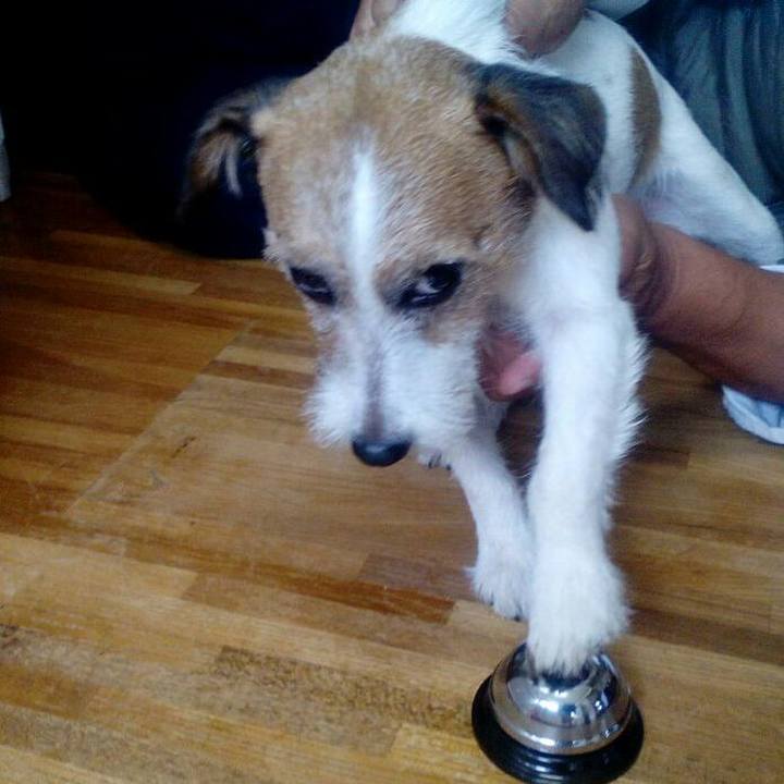 961ab701 5606 41fa 9366 d35e9cf1f993