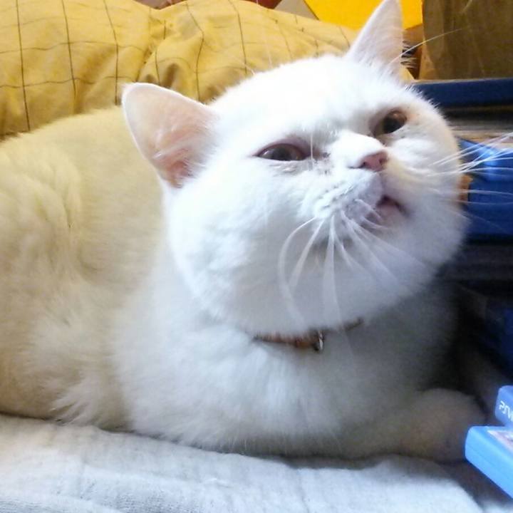 961b6a16 ef8e 4f1f 893d 1b4d200fe49f