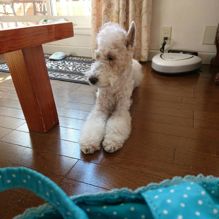 961b8d7c b37e 47d3 a588 2e037abf6249