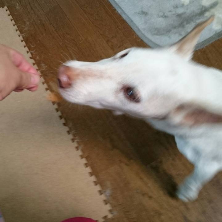 961becb8 e3b6 4171 9432 7ec815aa0479