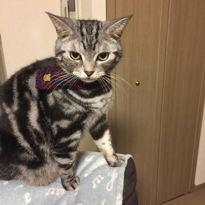 961c7f32 2ca3 4bb7 a360 e35b4bdde7b4