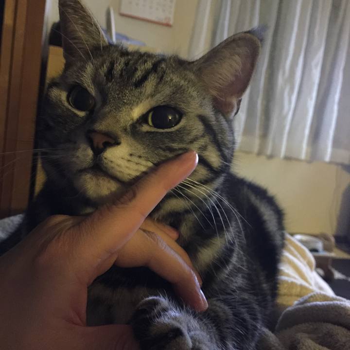 961d0a3b 3b2d 48c1 b3db 0cacd87f33dd