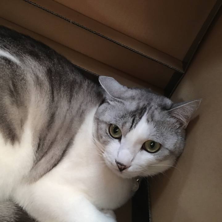 961d1762 7128 49dd ac6a dcd61770d284