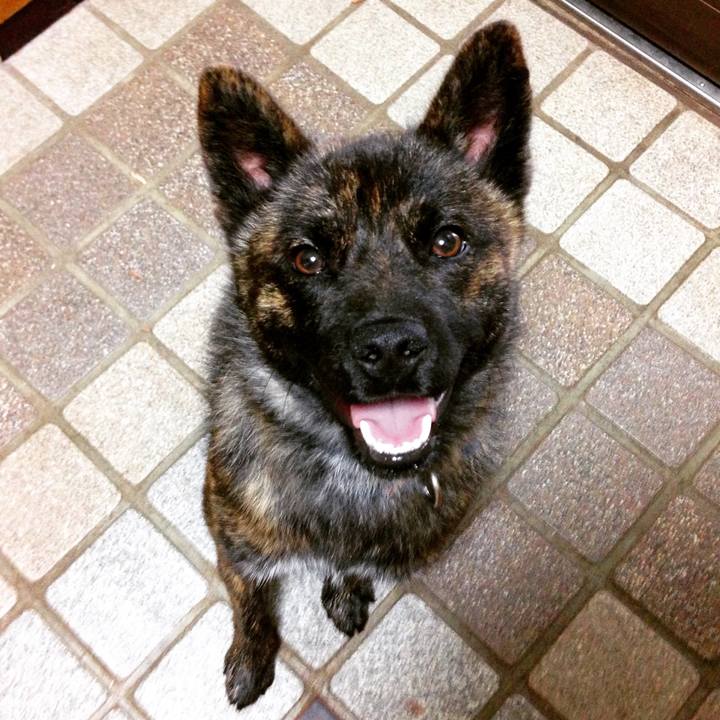 961da0cc 737b 43cc aafa 016fb4f4d414