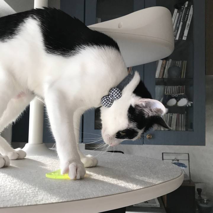 961dbe47 8c79 481c bcc8 a2e4c93da58f