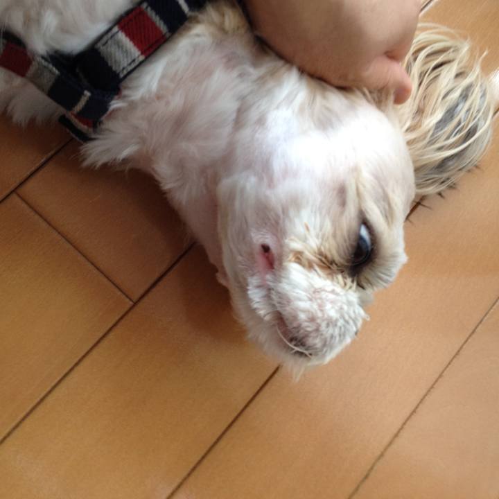 961efb66 4e35 4af3 b013 c1bdf70817b2