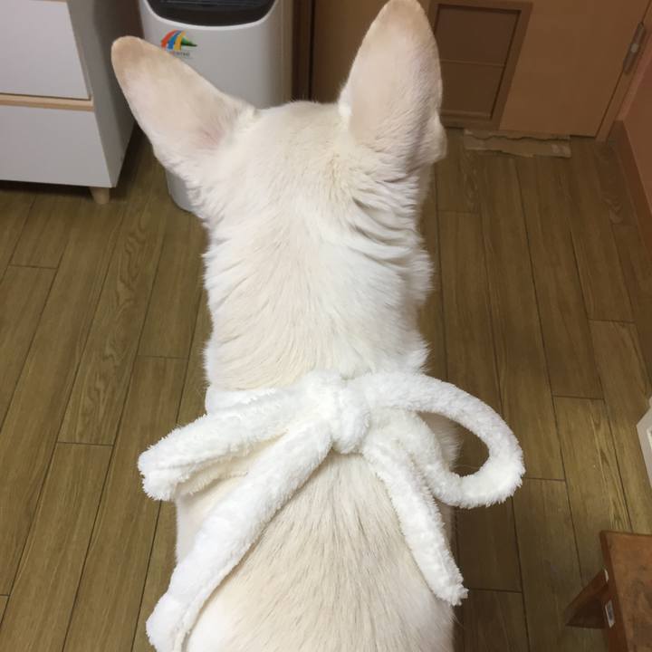 961fd049 a38d 4ada 8444 67f904b29789