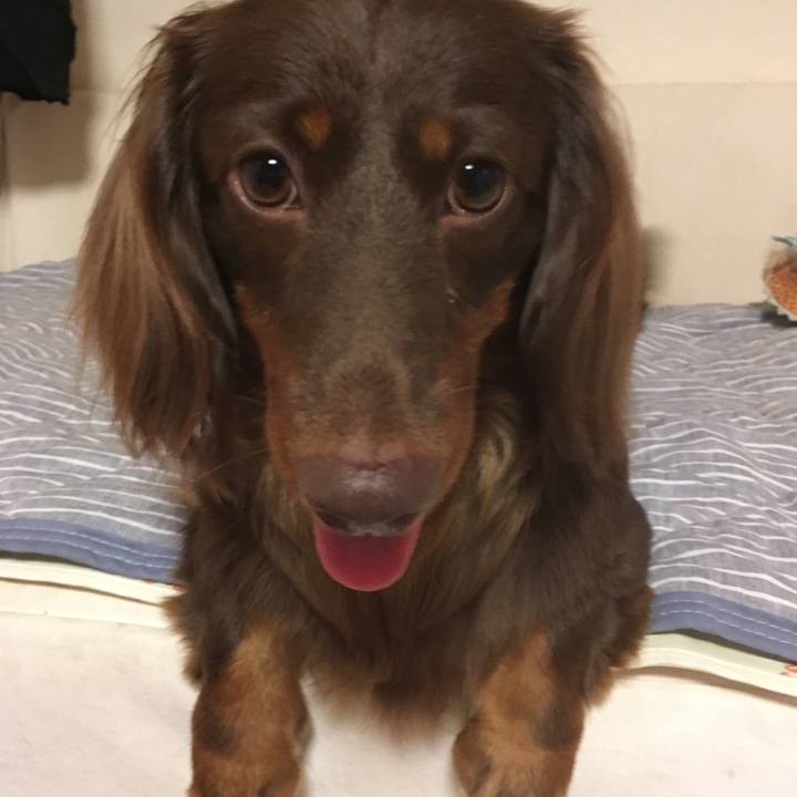 962001af 053e 4e51 8f78 5e1c478461f8