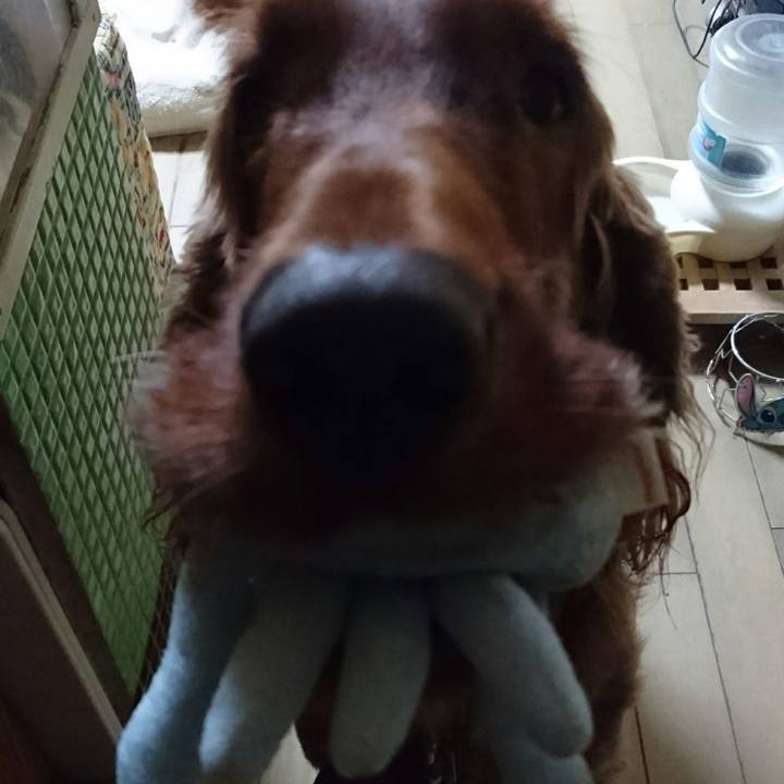 96208586 2745 49a2 ba8a d1197d9e1670