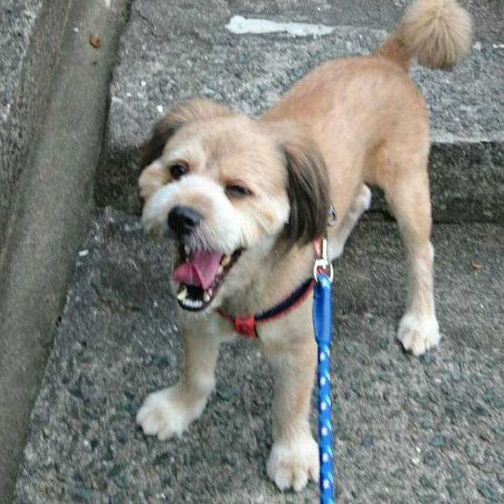 962236a2 30a8 4940 9cbf 3bb17dfaf684