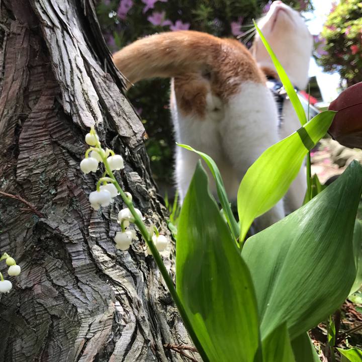 96226a23 4f76 4bc6 861c 8ee2126b1f95