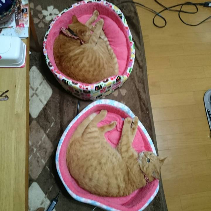 9622aff0 c051 4441 a488 52406f989a9d