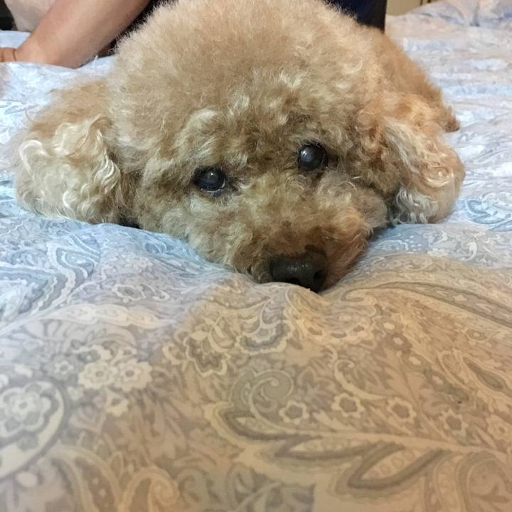 9622c6f2 cdfb 4bac a615 fc61ed33bd94