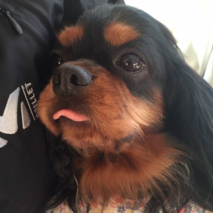 962302e1 09eb 46a3 a1f7 8d1a47d6d6c0