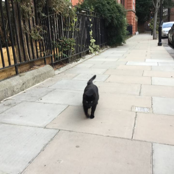 96237fe5 2b93 430d 9c5f 881c6f080e5d