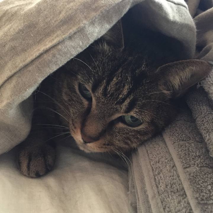 962440b3 e496 49ae 93b4 2508be9aeef6