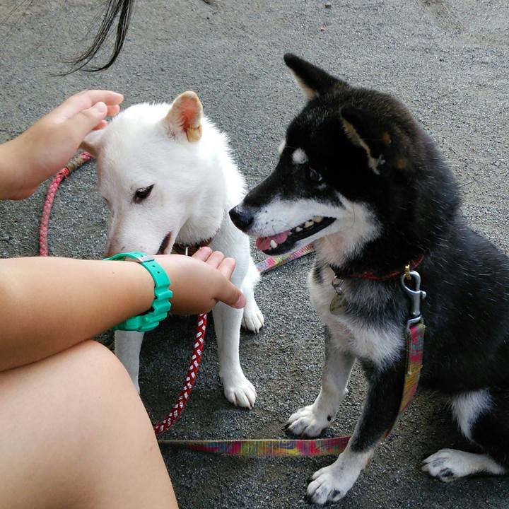 962468d9 8a6d 4050 9124 ea1da078af69