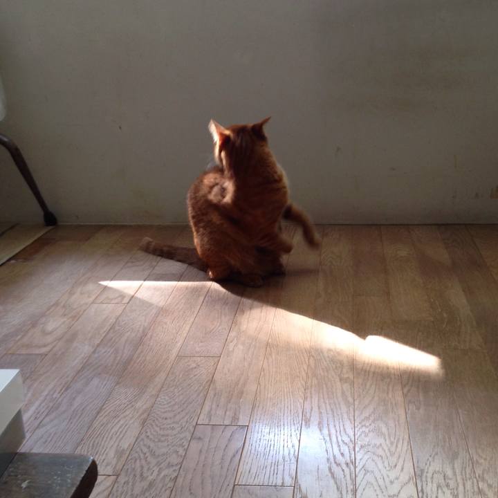 9624a7ed ebd0 4e12 8c10 2f1733efb197