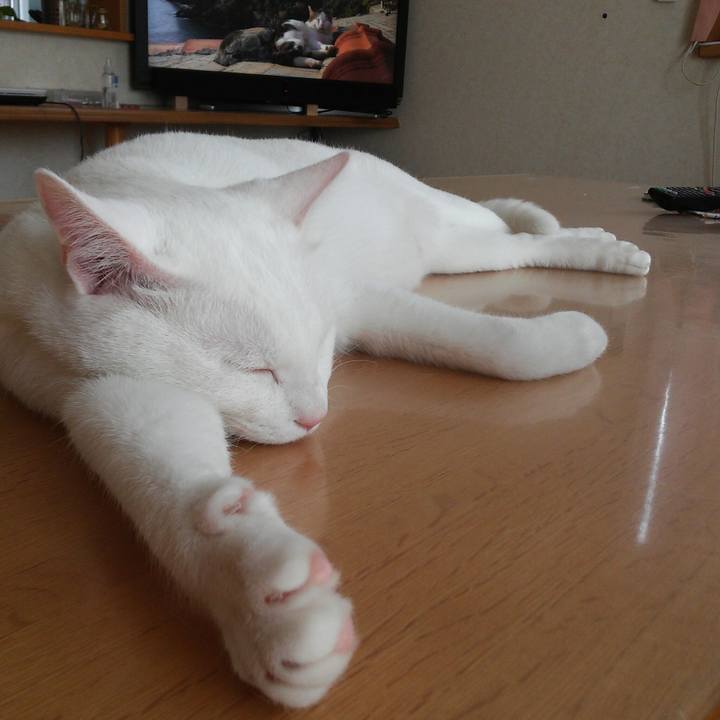 9624d4fa 534d 4fb3 b773 bf7ee85a3fd7