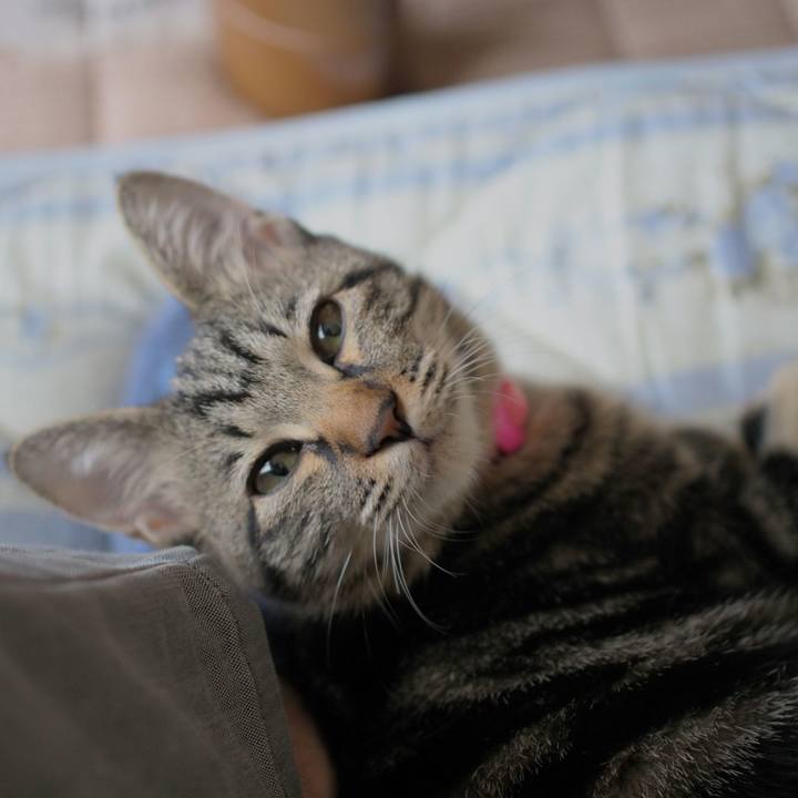 962550f4 2506 4e12 bc3b 322a6bb7c21b