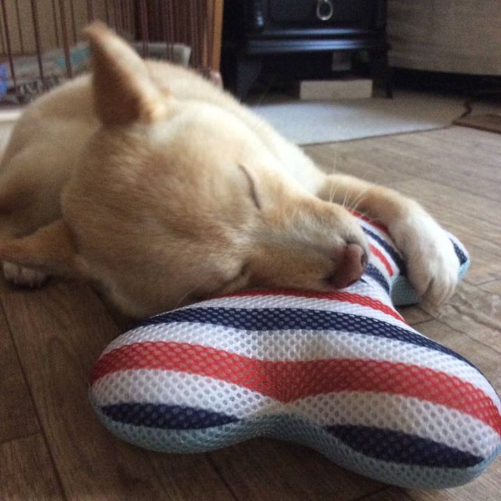 96259fac ac9b 40bb 80a8 31fda562735d