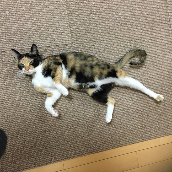 9625b4e1 fde6 4506 880c cfeedbacb482