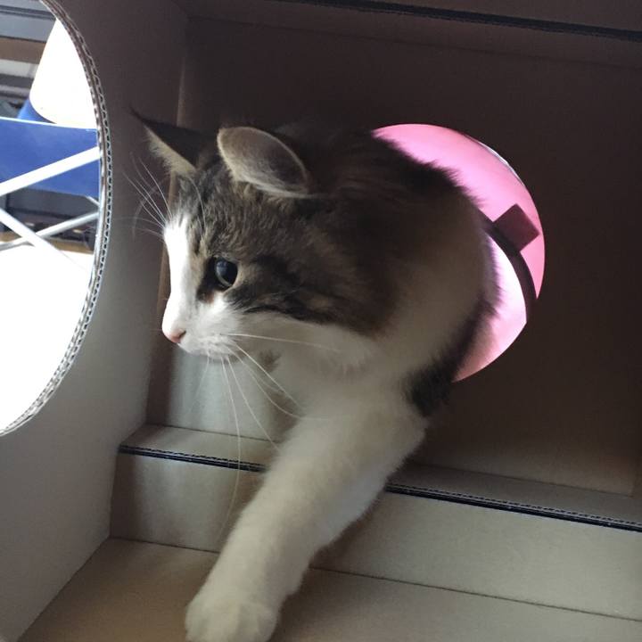 9625e556 24d1 4541 975d 462500772b23