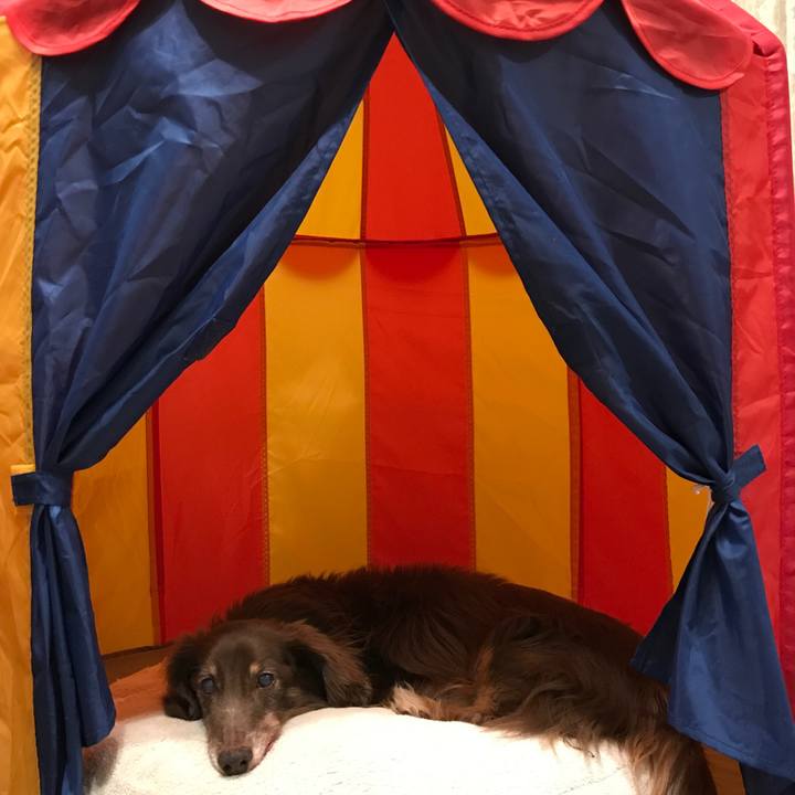 9627386f d9be 4552 89a8 eefd465e4057