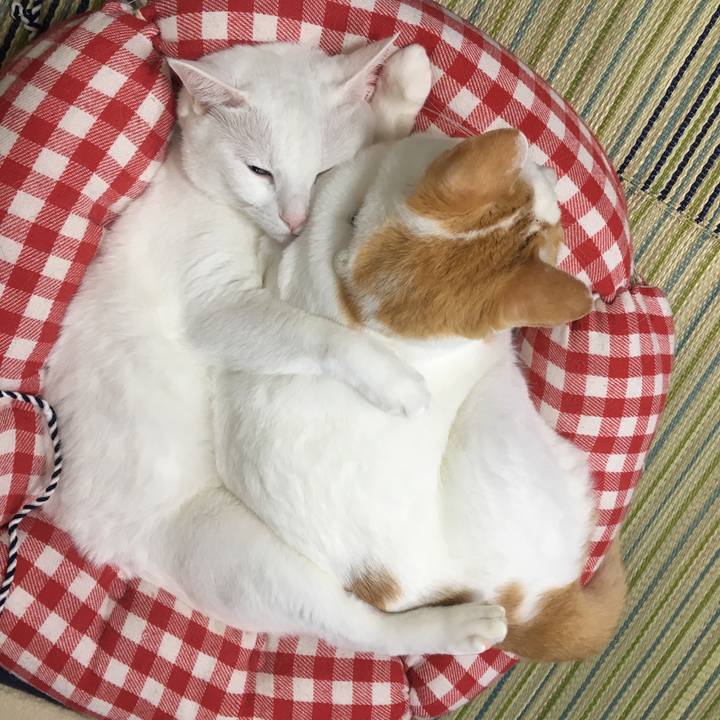 9627389a a0a9 4a22 a5e1 a6e2a9117fbf