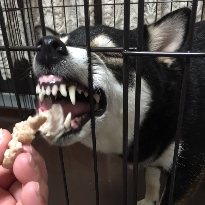 96277f2d 43f2 4914 a4a4 3f189c11036f