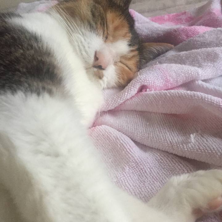 9627fc0b e6e7 480d ae1d 6fe8a846063a