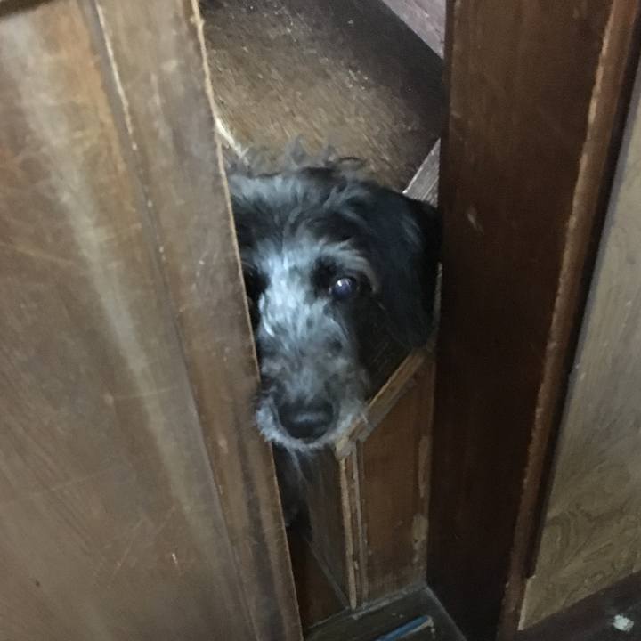 9628bcc1 3c74 48aa a748 76166443f8ed