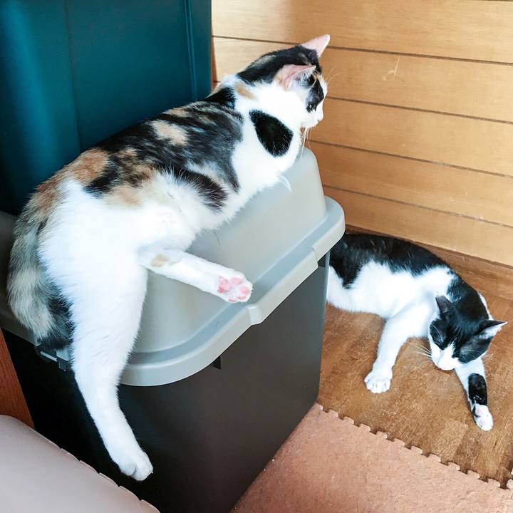 96290265 2f3b 4ecd aa8d c12eb032e83c