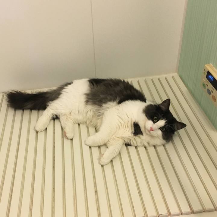 9629a8f9 bcbb 4083 acd7 d539e3005d94