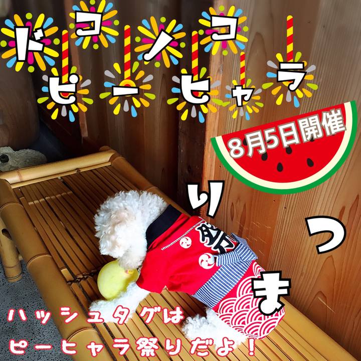 9629ff92 2b5e 44c6 83d7 7d688d4a6c59