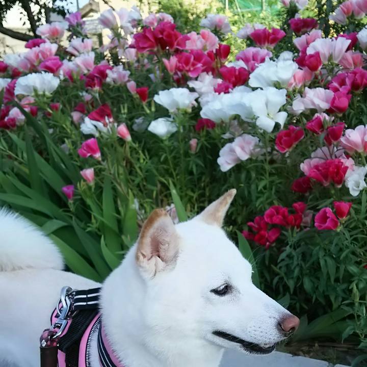 962a0487 c87a 4002 95f3 25d9c4ce7c5f