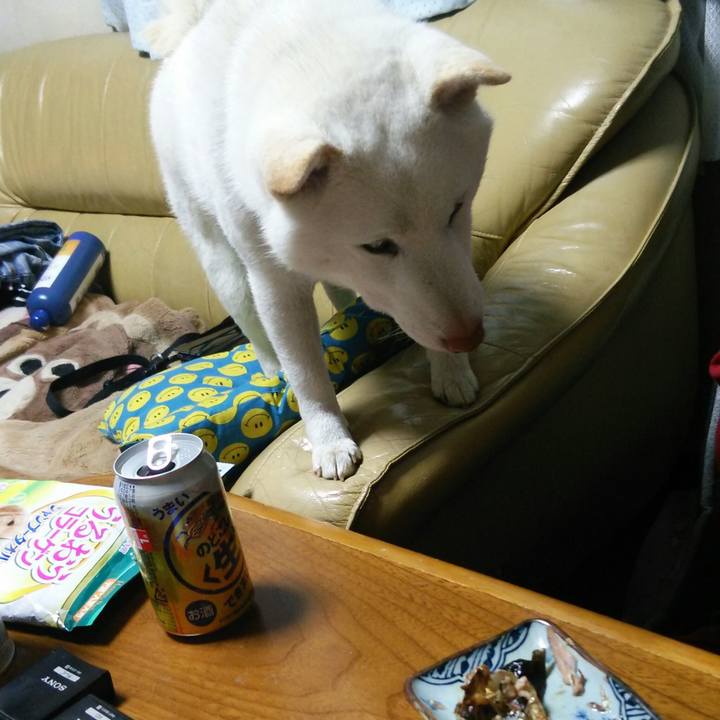 962a0c50 4008 439c a4f3 a369a9137734