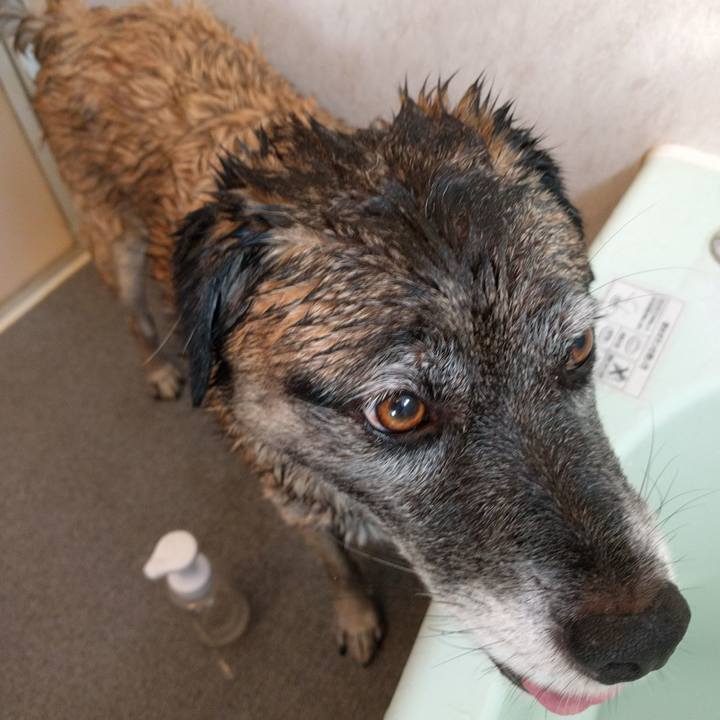 962a6859 9af3 44fa b52e 8a5a1bd498e3