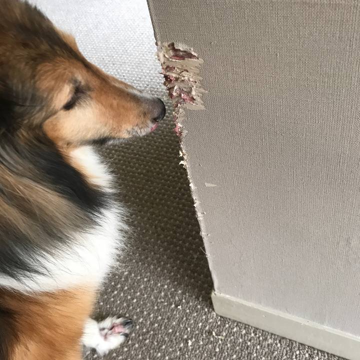 962b29db f196 4f4a 820c 59307ab6d963