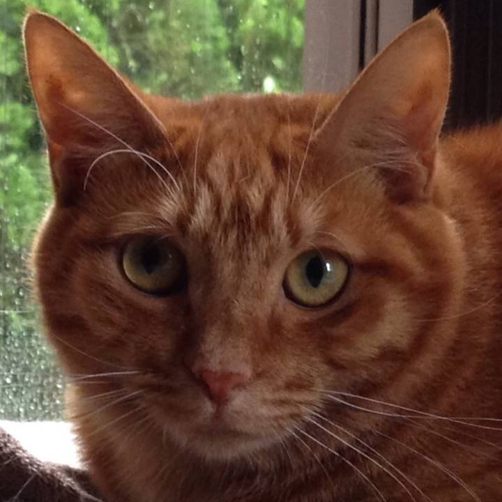 962c1086 5096 4d32 8cd1 d2c1e6f98e31