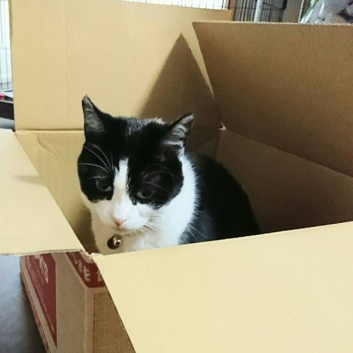 962d6359 874b 4489 b4dc a4be8f686079