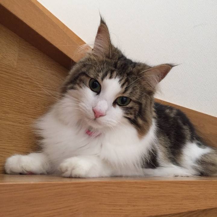 962db79d f7d9 4c98 82b2 21a50551fe4d