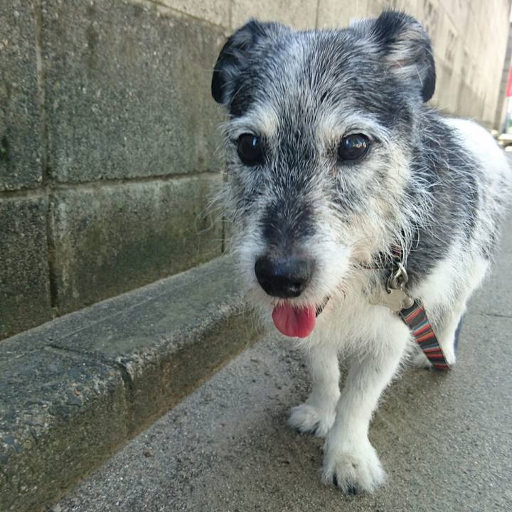 962e6136 bd78 4ec2 bb07 963aa48a26db