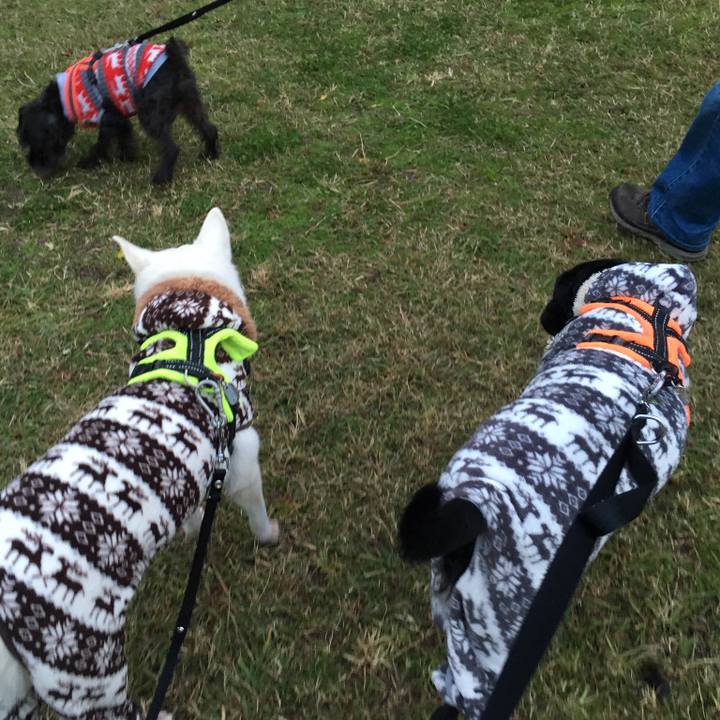 962f8194 5849 491b 85c9 73fc9725016e