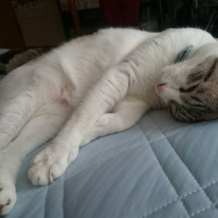 962fac42 71b0 46ca 868b 465710577c48