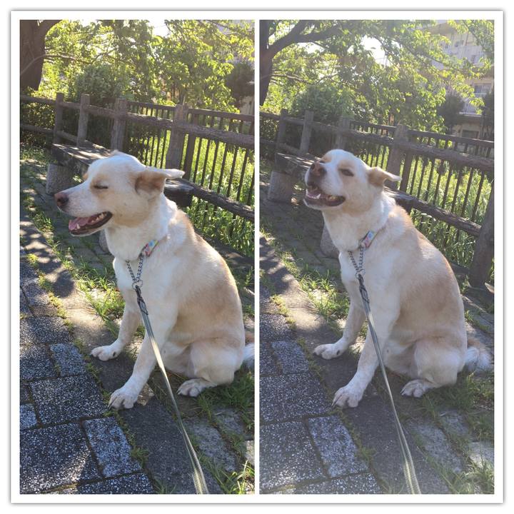 9630217d b5ad 4487 bf14 4cdb99bcd63c